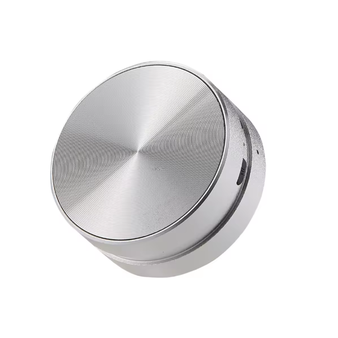 Portable Speaker