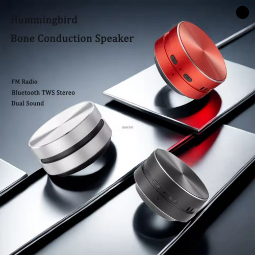 Portable Speaker
