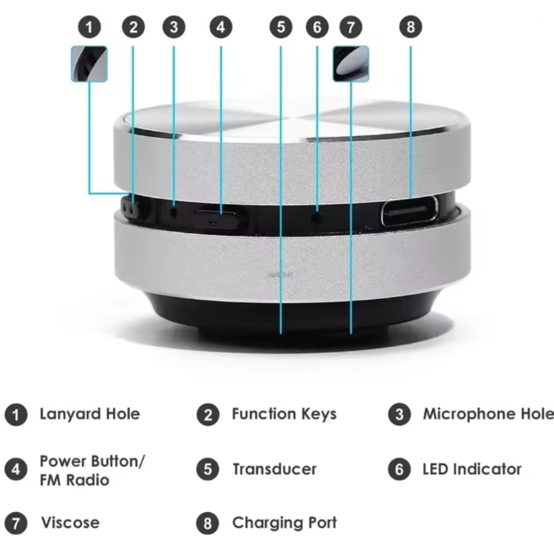 Portable Speaker