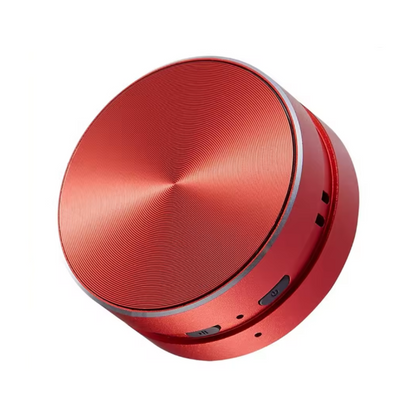 Portable Speaker