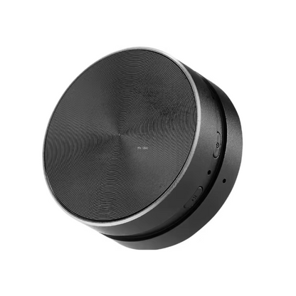 Portable Speaker